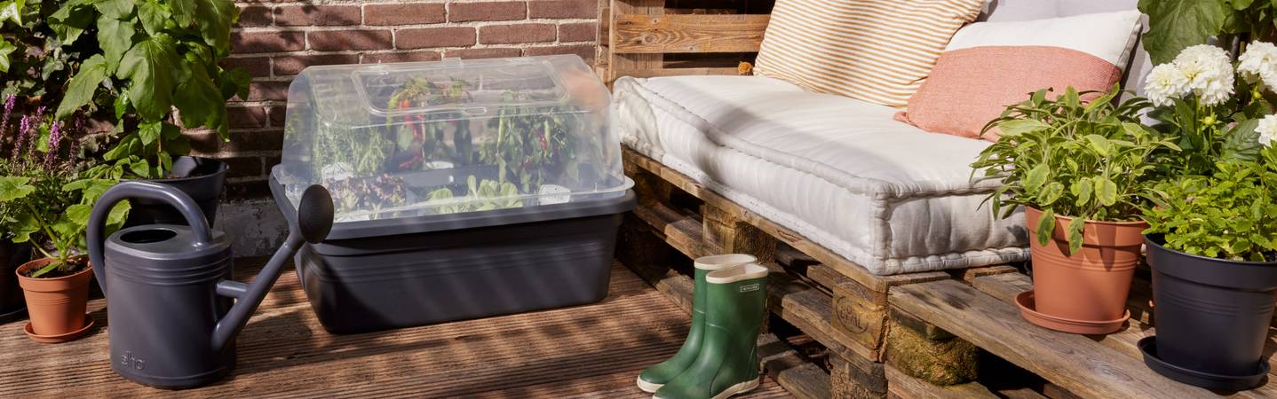 green basics terrassen gartenhaube l transparent